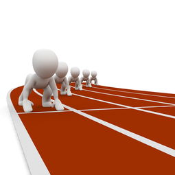 九游正版入口-中小学体育教师职业成长路径研究，中小学体育教师现状