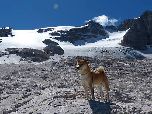 中国女篮不断尝试新阵容组合寻求突破，中国女篮不断尝试新阵容组合寻求突破的原因