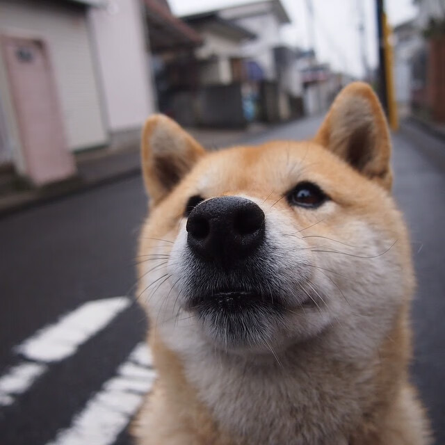 JIUYOU GAMING-五大联赛新贵球队是否更依赖边路快攻破局，五大联赛新贵球队是否更依赖边路快攻破局了