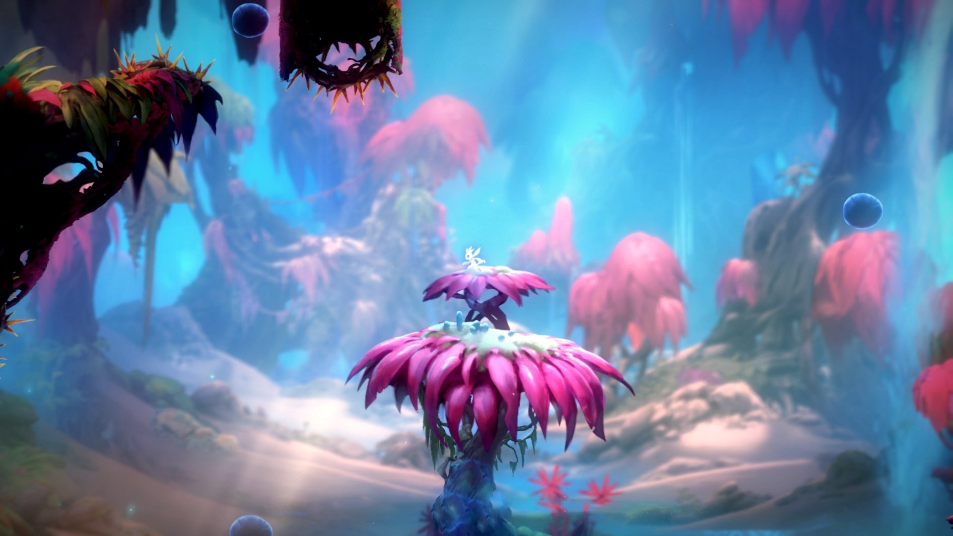 滑板世界杯冠军花落中国,滑板世界赛冠军