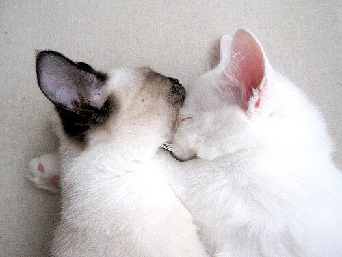 -曼联客场战平主帅表示满意表现，曼联客场战绩出色