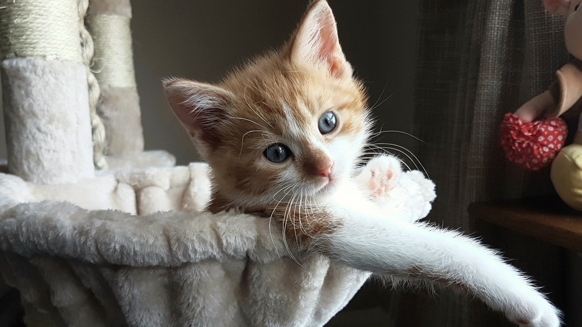 骑士赛后组织小型见面会球迷热情回应,骑士队price